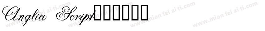 Anglia Script字体转换